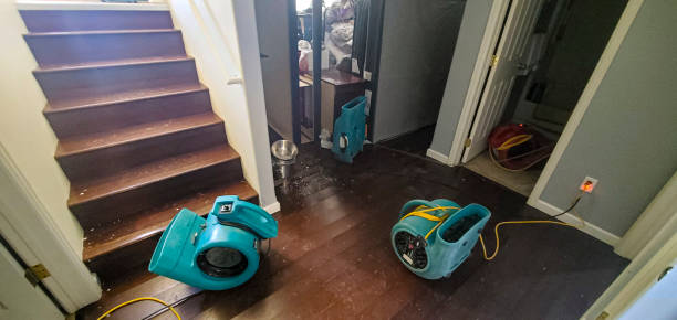 Best 24/7 water damage repair  in Monfort Heights, OH