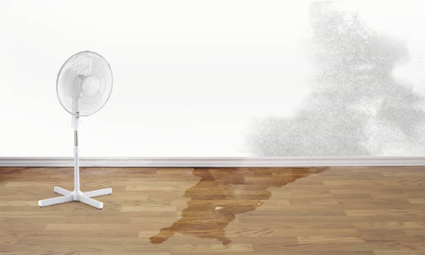 Best Water damage cleanup near me  in Monfort Heights, OH