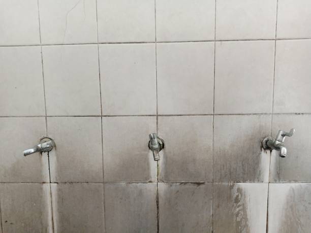 Best Fire Damage Restoration  in Monfort Heights, OH