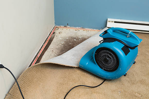 Best Water damage restoration mold remediation  in Monfort Heights, OH